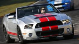 Ford Mustang V Cabrio 5.0 GT 418KM 307kW 2011-2014