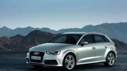 Audi A3 8V Sportback 5d 2.0 TDI 184KM 135kW 2013-2014