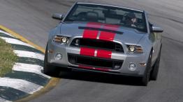 Ford Mustang V Cabrio 5.0 GT 418KM 307kW 2011-2014