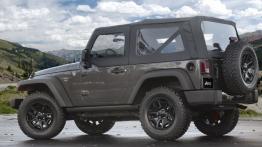 Jeep Wrangler Willys Wheeler Edition (2014) - lewy bok