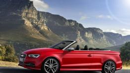 Audi S3 III Cabriolet (2014) - lewy bok