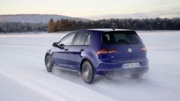 Volkswagen Golf VII R 5d (2014) - widok z tyłu