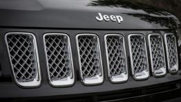 Jeep Compass 2014 - grill