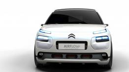 Citroen C4 Cactus Airflow 2L Concept (2014) - widok z przodu