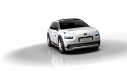 Citroen C4 Cactus Airflow 2L Concept (2014) - widok z przodu