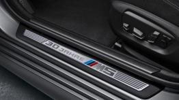 BMW M5 30 Jahre M5 (2014) - listwa progowa