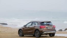 Mercedes GLA 220 CDI 4MATIC (2014) - widok z tyłu