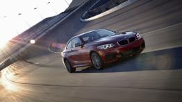 BMW M235i Coupe (2014) - widok z przodu
