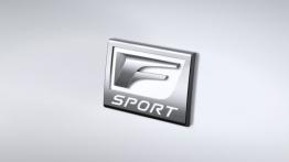 Lexus IS 250 (2014) - emblemat boczny