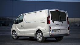 Opel Vivaro II Furgon (2014) - widok z tyłu