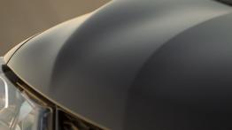 Nissan Rogue 2014 - maska zamknięta