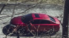 Citroen DS 5LS R Concept (2014) - widok z góry