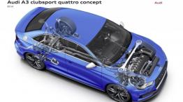 Audi A3 clubsport quattro concept (2014) - schemat konstrukcyjny auta