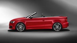 Audi S3 III Cabriolet (2014) - lewy bok