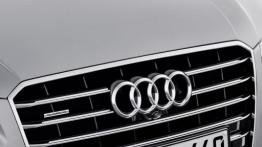 Audi A8 4.0 TFSI quattro Facelifting (2014) - maska zamknięta