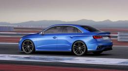 Audi A3 clubsport quattro concept (2014) - lewy bok