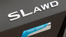 Nissan Rogue 2014 - emblemat