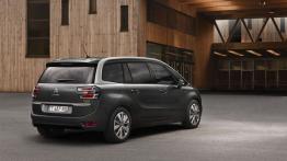Citroen Grand C4 Picasso II (2014) - widok z tyłu