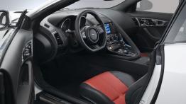 Jaguar F-Type R Coupe (2014) - pełny panel przedni
