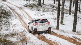 Subaru XV (2018) - widok z tyłu