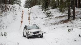 Subaru XV (2018) - widok z przodu