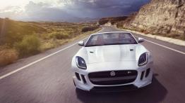 Jaguar F-Type AWD R Roadster Glacier White (2015) - widok z przodu