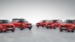 Skoda Fabia III Combi Monte Carlo (2015) - widok z przodu