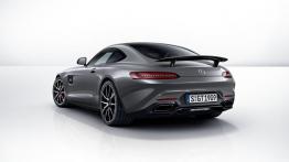 Mercedes AMG GT Edition 1 (2015) - widok z tyłu