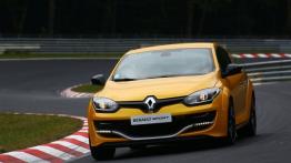 Renault Megane III Coupe Facelifting 2013 2.0 T Renault Sport 220KM 162kW 2013-2015