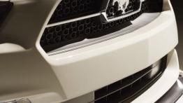 Ford Mustang VI Coupe 50 Year Limited Edition (2015) - grill