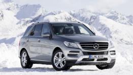 Mercedes Klasa M W166 Off-roader 400 4MATIC 333KM 245kW 2015-2015