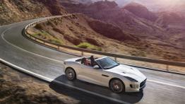 Jaguar F-Type AWD R Roadster Glacier White (2015) - prawy bok