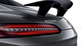 Mercedes AMG GT Edition 1 (2015) - spoiler
