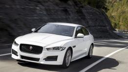 Jaguar XE 2.0d R-Sport Polaris White (2015) - widok z przodu