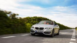 BMW serii 2 Cabrio (2015) - widok z przodu