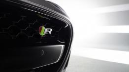 Jaguar F-Type AWD R Coupe Storm Grey (2015) - logo