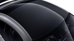 Mercedes AMG GT Edition 1 (2015) - dach