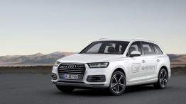 Audi Q7 II e-tron 3.0 TDI quattro (2015) - widok z przodu