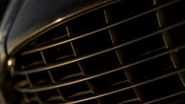 Aston Martin Vanquish Carbon Edition (2015) - grill