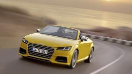 Audi TTS III Roadster (2015) - widok z przodu