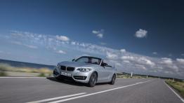 BMW serii 2 Cabrio (2015) - widok z przodu
