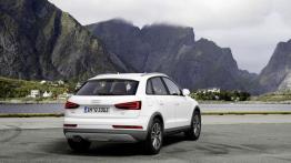 Audi Q3 Facelifting TDI ultra (2015) - widok z tyłu