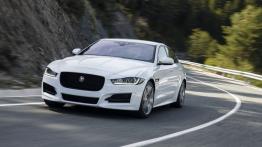 Jaguar XE 2.0d R-Sport Polaris White (2015) - widok z przodu