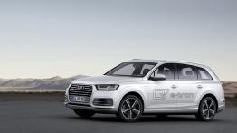 Audi Q7 II e-tron 3.0 TDI quattro (2015) - lewy bok