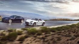 Jaguar F-Type AWD S Coupe Blackberry (2015) - lewy bok