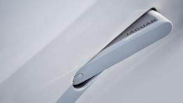 Jaguar F-Type AWD R Roadster Glacier White (2015) - klamka przód