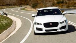 Jaguar XE 2.0d R-Sport Polaris White (2015) - widok z przodu