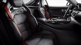 Mercedes AMG GT Edition 1 (2015) - widok ogólny wnętrza z przodu