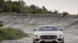 Mercedes-AMG GT (2015) - widok z przodu