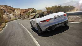 Jaguar F-Type AWD R Roadster Glacier White (2015) - widok z tyłu
